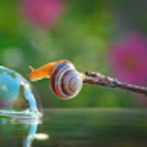 Meet your Posher, Brian